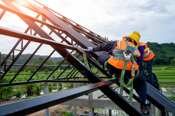 Best Roof Gutter Cleaning  in Longwood, FL